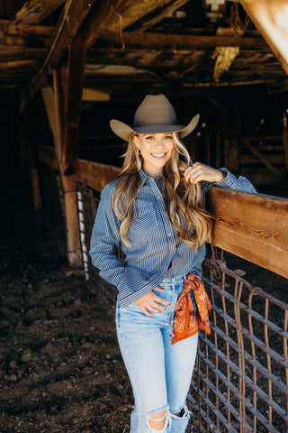 Ariat Railroad Stripe Shirt